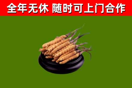 通许县烟酒回收冬虫夏草.jpg