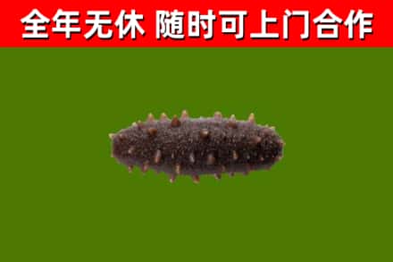 通许县烟酒回收干海参.jpg